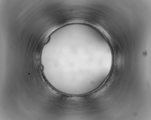 X0000089930953200707201837