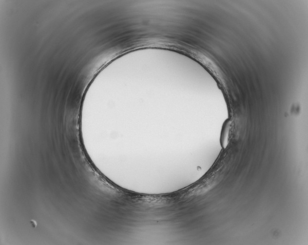 X0000089930954200707201837