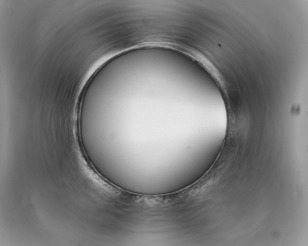 X0000089930955200707201837