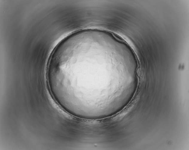 X0000089930957200707201837