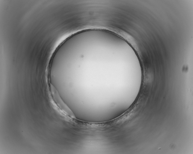 X0000089930958200707201837