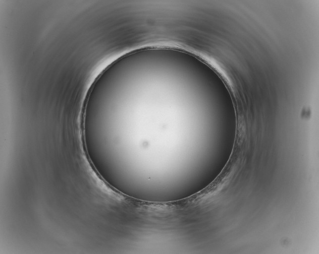 X0000089930959200707201837