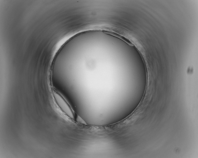 X0000089930960200707201837