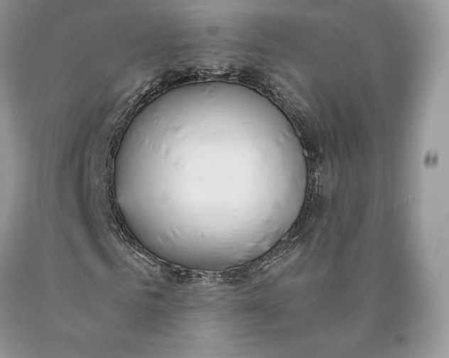 X0000089930961200707201837