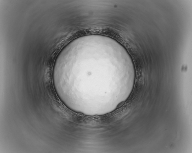 X0000089930962200707201837