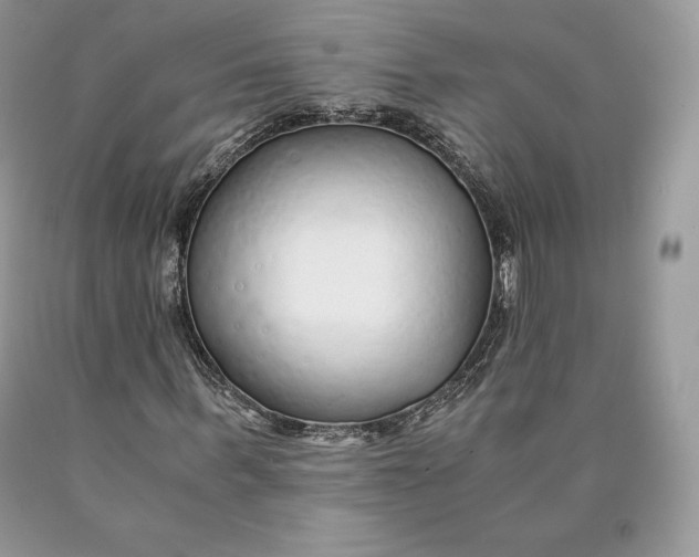 X0000089930963200707201837