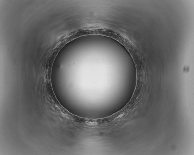 X0000089930965200707201837