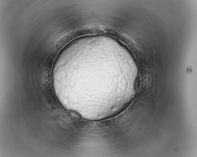 X0000089930966200707201837