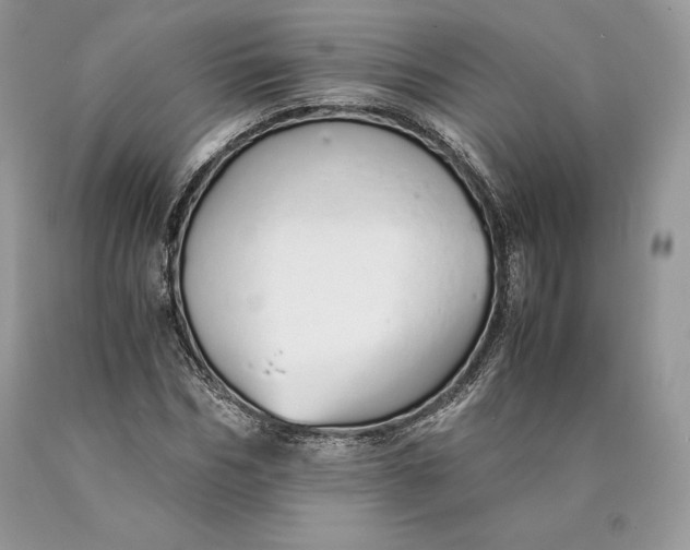 X0000089930970200707201836