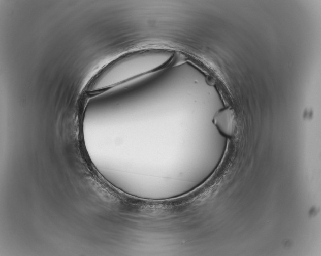 X0000089930973200707201836