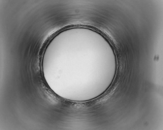 X0000089930974200707201836