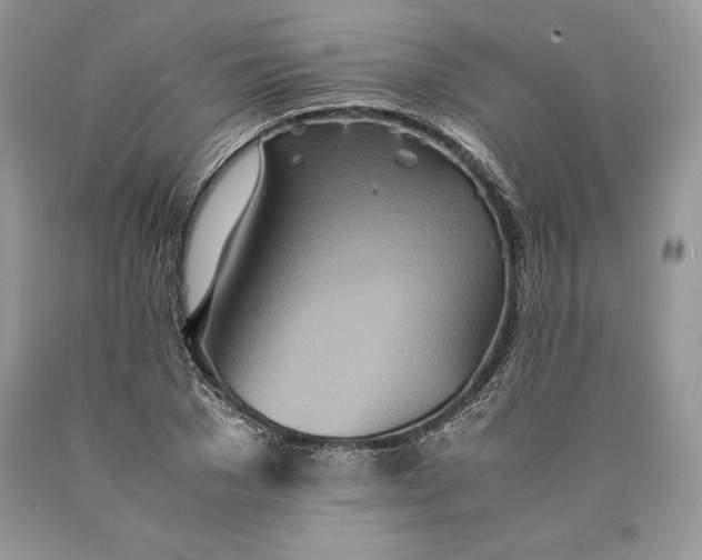 X0000089930977200707201836