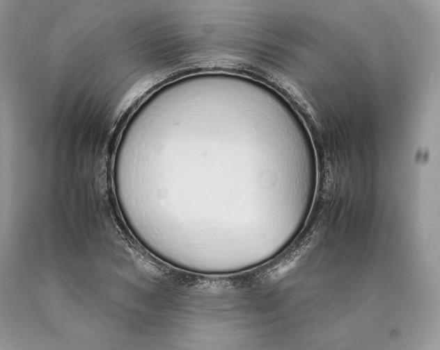 X0000089930978200707201836