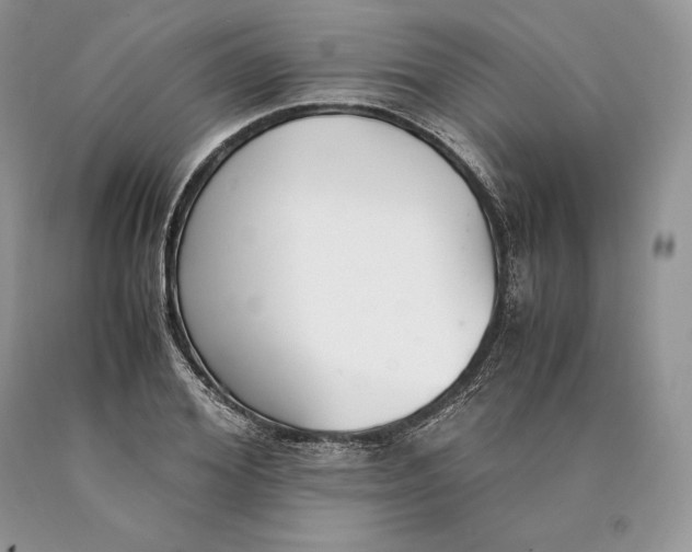 X0000089930980200707201836