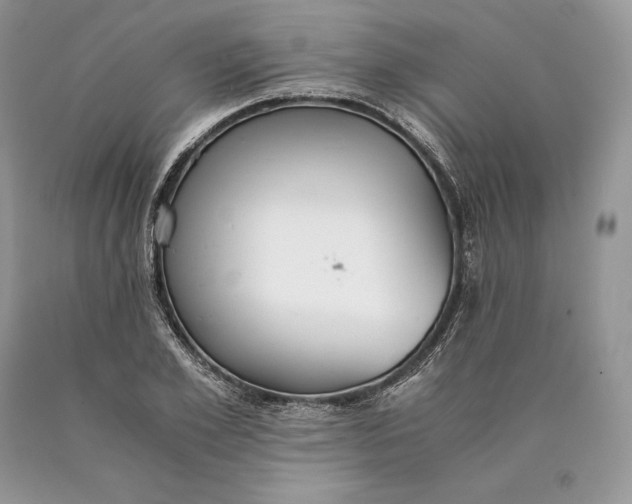 X0000089930981200707201836