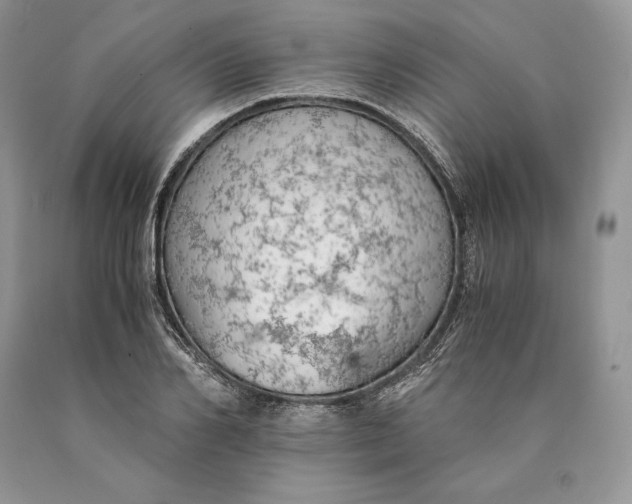 X0000089930982200707201836