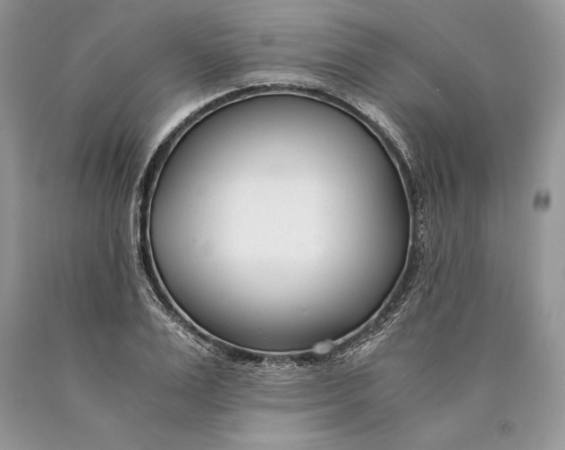 X0000089930983200707201836