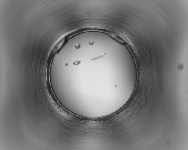 X0000089930984200707201836