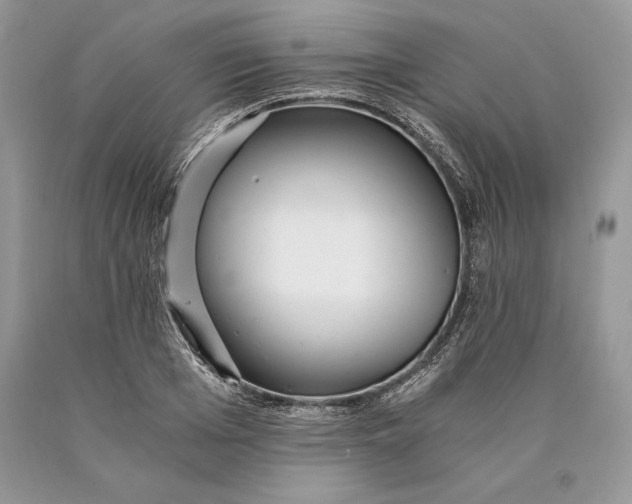 X0000089930985200707201836