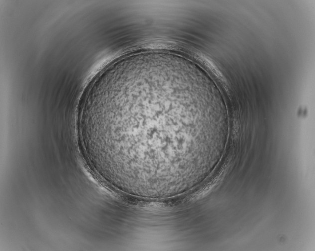 X0000089930986200707201836