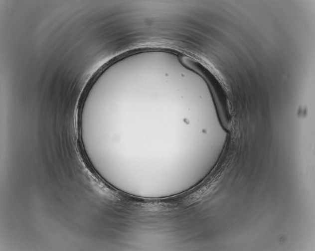 X0000089930988200707201836