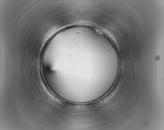 X0000089930989200707201836