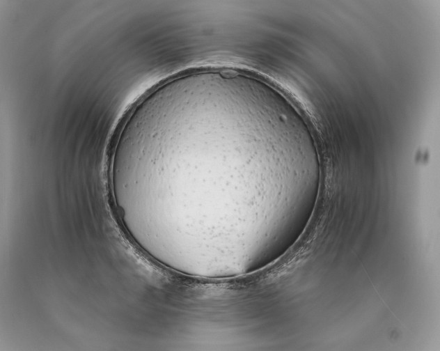 X0000089930990200707201836