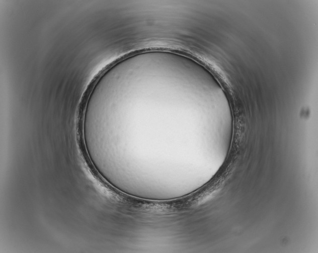 X0000089930991200707201836