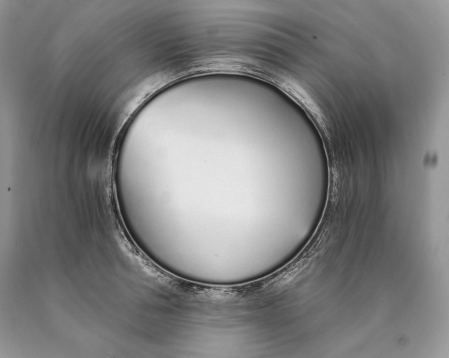 X0000089930994200707201836