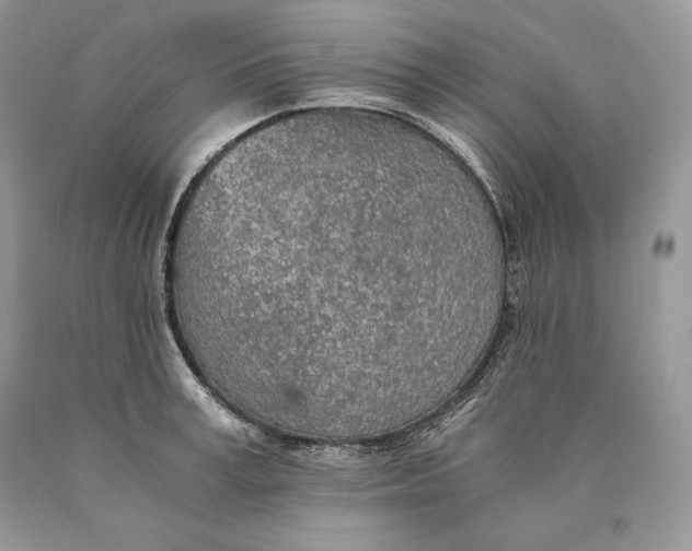 X0000089930995200707201836