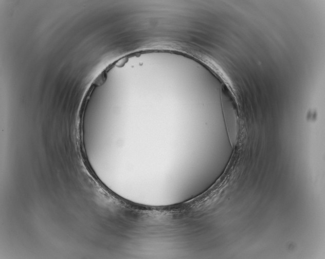 X0000089930996200707201836