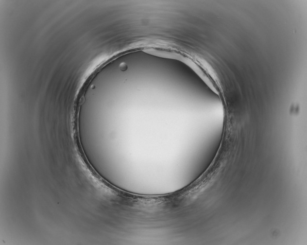 X0000089930997200707201836