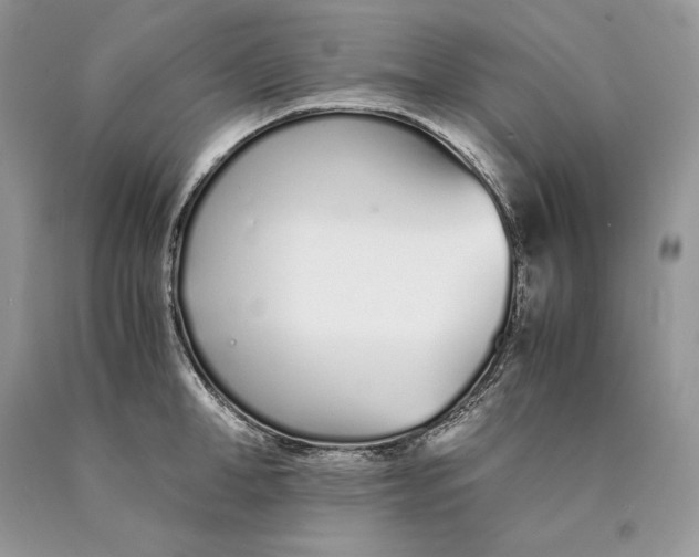 X0000089930998200707201836