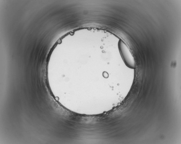 X0000089931000200707201836