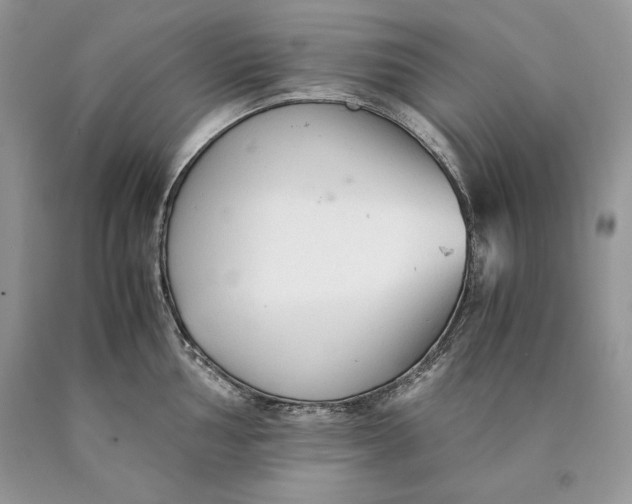 X0000089931002200707201836