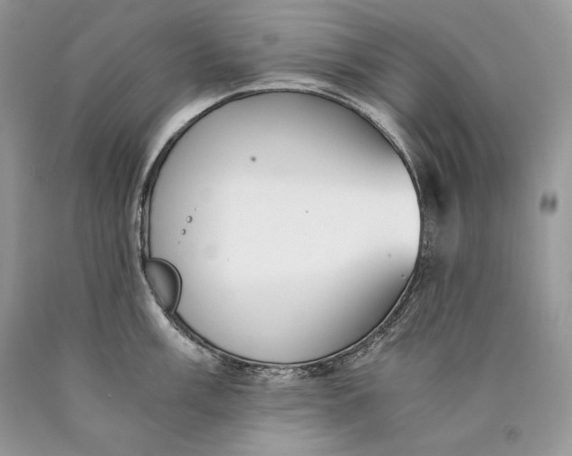 X0000089931003200707201836