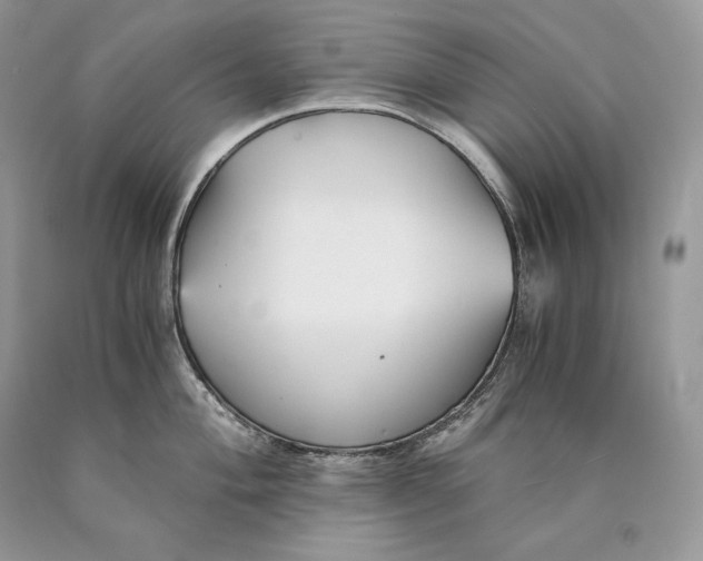 X0000089931004200707201836