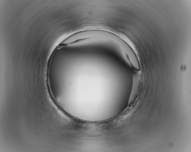 X0000089931005200707201836