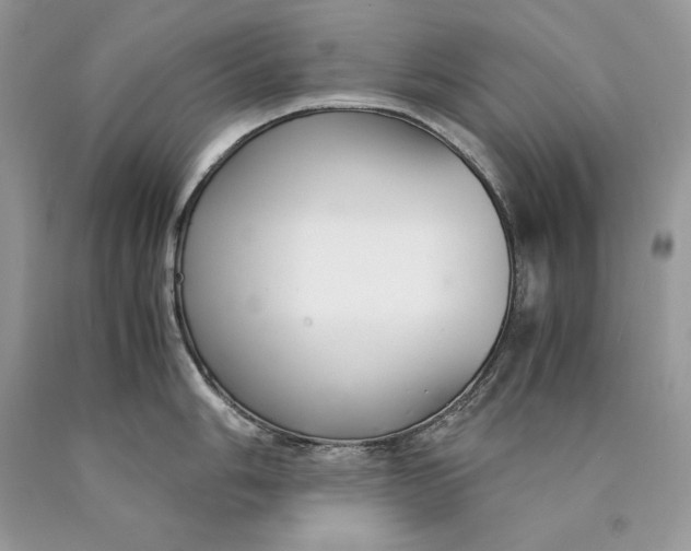 X0000089931006200707201836