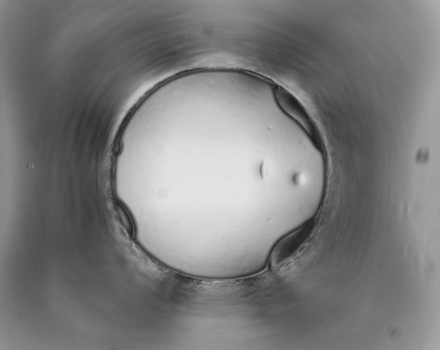 X0000089931008200707201836