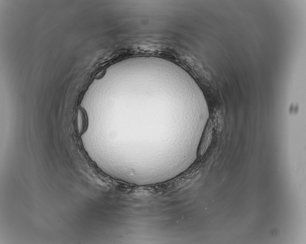 X0000089931009200707201835