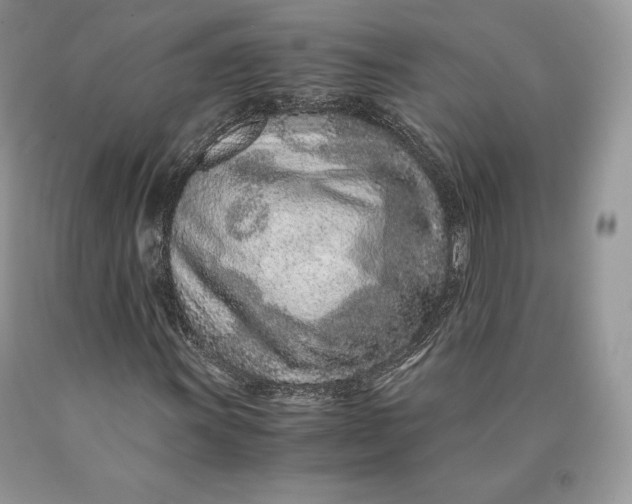 X0000089931011200707201835