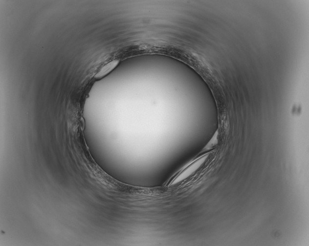 X0000089931012200707201835