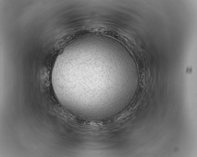 X0000089931013200707201835