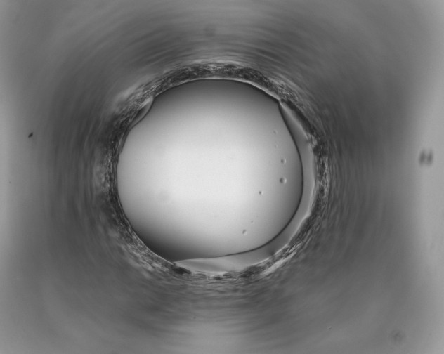 X0000089931014200707201835