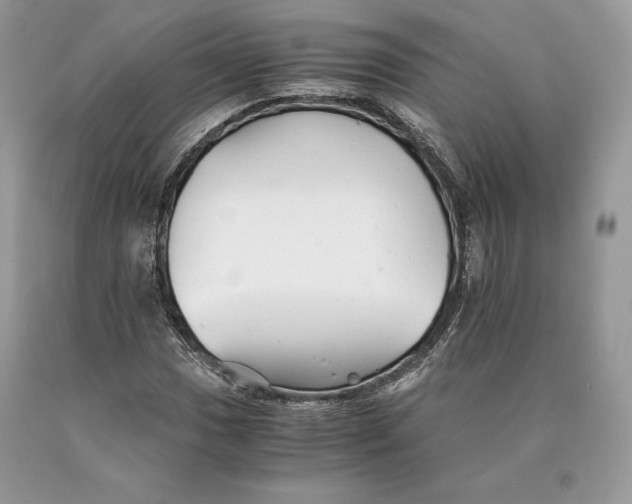 X0000089931017200707201835