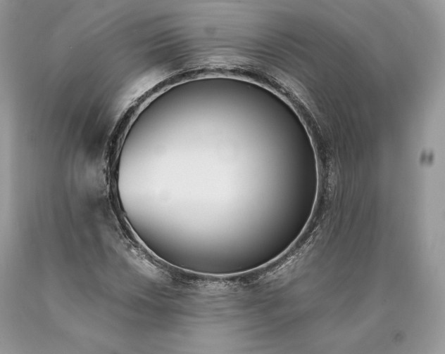 X0000089931018200707201835