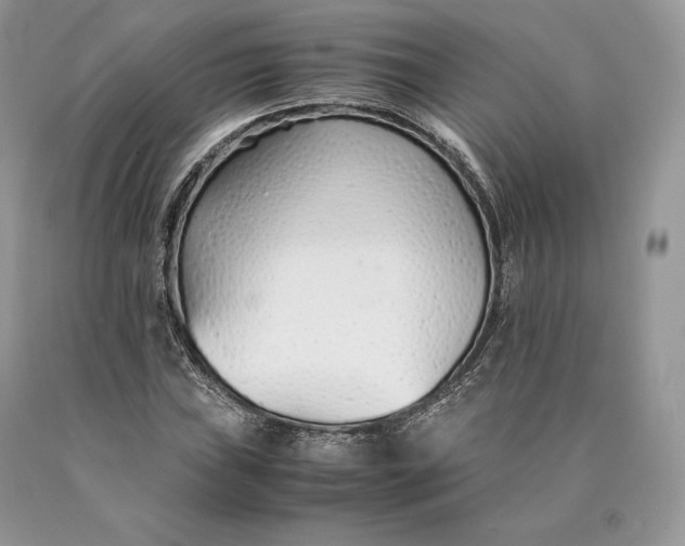 X0000089931019200707201835