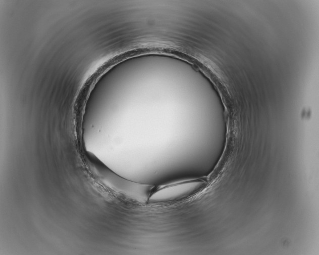 X0000089931022200707201835