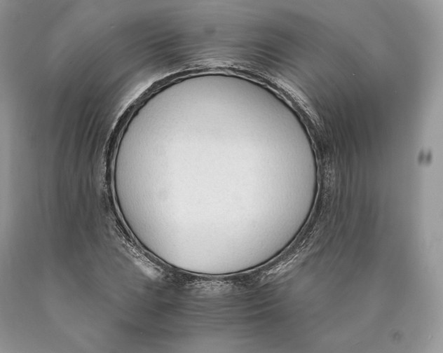 X0000089931023200707201835